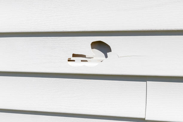 How To Choose The Right Materials for Your Siding Installation in 'Saks, AL